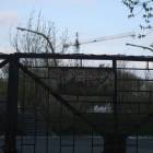 Fotka nr 5 z 9