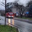 Fotka nr 2 z 3