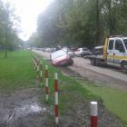 Fotka nr 2 z 3