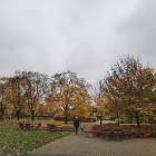 zdjęcie nr 44