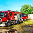 Fotka nr 2 z 17