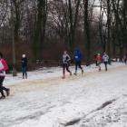 zdjęcie nr 35