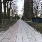 Fotka nr 1 z 2