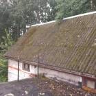 Fotka nr 5 z 10