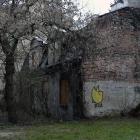 Fotka nr 4 z 6