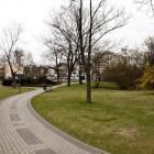 zdjęcie nr 7