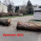 zdjęcie nr 8