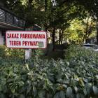 Fotka nr 2 z 3