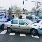 Fotka nr 1 z 13