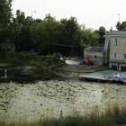 Fotka nr 4 z 5