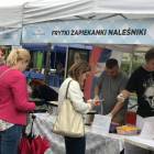 zdjęcie nr 11