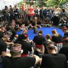 zdjęcie nr 242