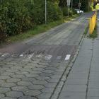 Fotka nr 1 z 4