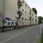 Fotka nr 3 z 4