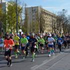 Fotka nr 1 z 83
