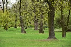 Zdjęcie: Warszawa Praga Południe wiadomości Praga Południe Dzielnica Warszawy Portal Pragi Południe iPragaPoludnie