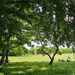 Zdjęcie: Zieleń Warszawa Praga Południe MIEJSCA iPragaPoludnie