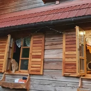 Garaże / domki letniskowe / parkingi Warszawa Praga Południe  - ogłoszenia Nieruchomości Warszawa Praga Południe  | iPragaPoludnie.pl