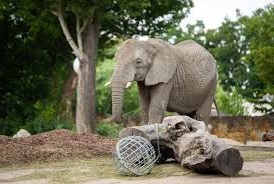 Zdjęcie: Warszawa Praga Południe wiadomości Praga Południe Dzielnica Warszawy Portal Pragi Południe iPragaPoludnie