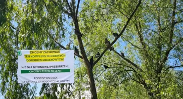 Znikną ogródki działkowe?