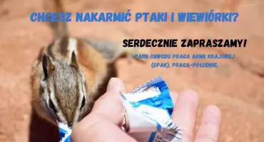 Zimowe dokarmianie ptaków i wiewiórek na Pradze-Południe!