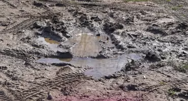 Problemy z toaletą w Parku Skaryszewskim: opóźnienia, błoto i dodatkowe koszty