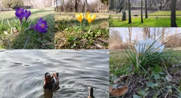 Tak mieszkańcy Pragi-Południe przywitali wiosnę [ZDJĘCIA]