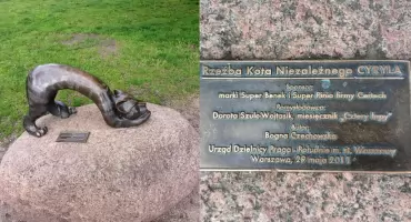 Zna go każdy mieszkaniec. Kot Cyryl kończy 14 lat!