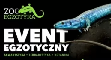 ZooEgzotyka na Pradze-Południe. Tylko najciekawsze gatunki!