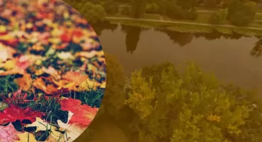 Tu jesień pachnie liśćmi i kawą. Miejsca do spacerowania na Pradze-Południe!
