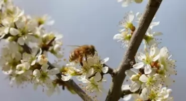 MUZYCZNE POWITANIE WIOSNY na Pradze-Południe!