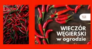 WIECZÓR WĘGIERSKI W OGRODZIE? Już niedługo w Wawrze!