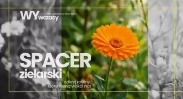 TYM RAZEM SPACER ZIELARSKI na Pradze-Południe. Warto poczekać!