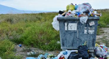 Sprzątanie Warszawy. TrashTag Challenge na Pradze Południe